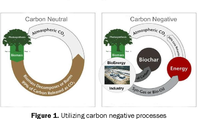Figure 1 showing the utilizing carbon negative processes